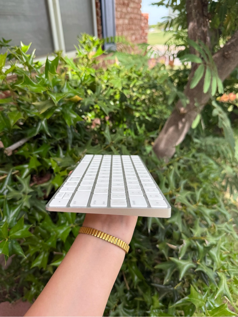 Apple Magic Keyboard - Picture 3 of 5